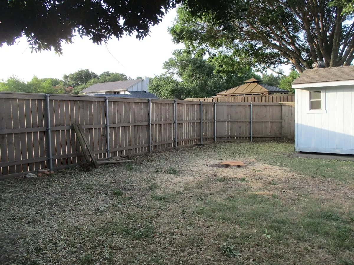Cleared yard after professional tree removal in Alexandria